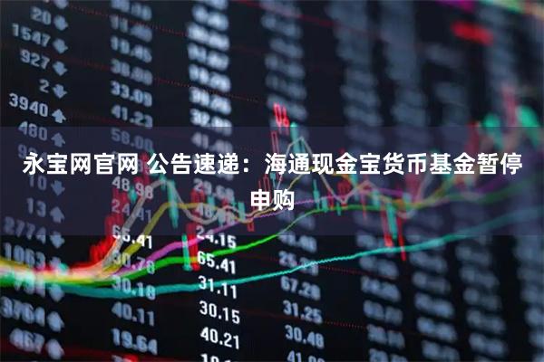 永宝网官网 公告速递：海通现金宝货币基金暂停申购