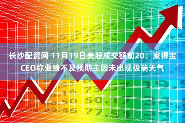 长沙配资网 11月19日美股成交额前20：家得宝CEO称业绩不及预期主因未出现极端天气