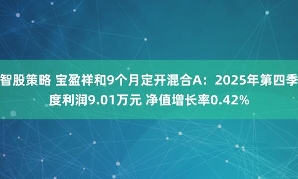 智股策略 宝盈祥和9个月定开混合A：2025年第四季度利润9.01万元 净值增长率0.42%