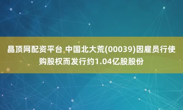 晶顶网配资平台 中国北大荒(00039)因雇员行使购股权而发行约1.04亿股股份