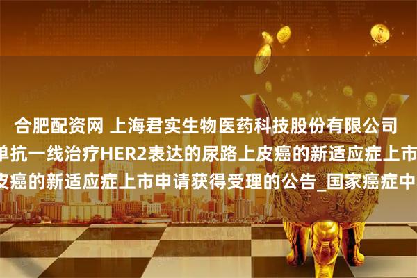 合肥配资网 上海君实生物医药科技股份有限公司 自愿披露关于特瑞普利单抗一线治疗HER2表达的尿路上皮癌的新适应症上市申请获得受理的公告_国家癌症中心_研究